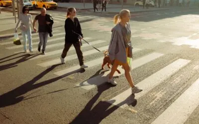 How the Hollywood Pedestrian Accident Highlights Safety Risks on Sunset