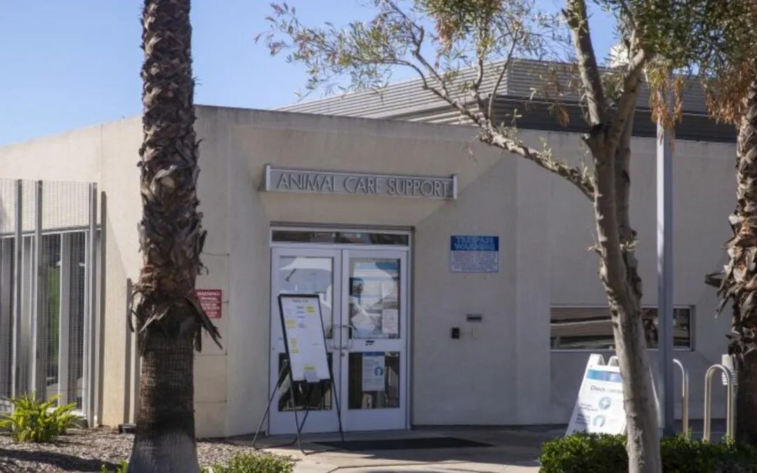 Van Nuys Dog Bite Leads to Severe Injury and Legal Settlement